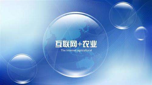 互联网 推动农业向现代化转型 助力乡村振兴